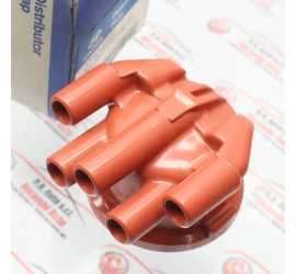 CALOTTA SPINTEROGENO...