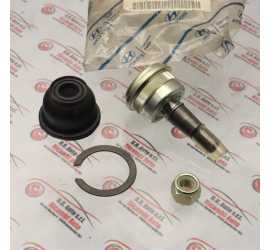 KIT TESTINA BRACCIO...