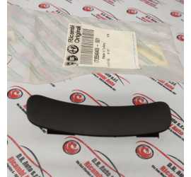 MOSTRINA PORTA SINISTRA...