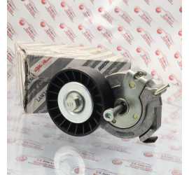 TENDICINGHIA DISTRIBUZIONE...