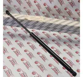 PUNTELLO PISTONCINO BAULE...