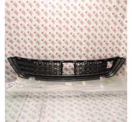 GRIGLIA PARAURTI ANTERIORE...
