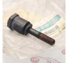 VITE TENDICINGHIA...