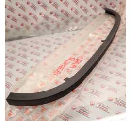 DEFLETTORE PARAURTI...