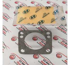 GURNIZIONE CORPO FARFALLATO...