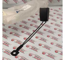 RAMO CINTURA CENTRALE POST....