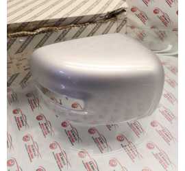 CALOTTA SPECCHIO DESTRO...