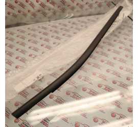 RASCHIAVETRO POSTERIORE...