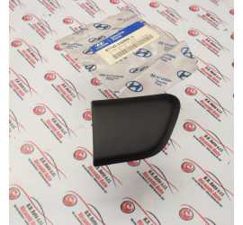 MODANATURA ANTERIORE DESTRA...