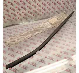 RASCHIAVETRO POSTERIORE...