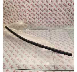 RASCHIAVETRO POSTERIORE...