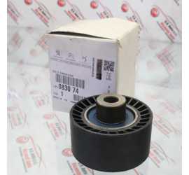 PULEGGIA TENDICINGHIA...