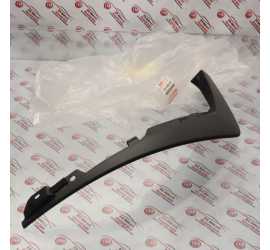 PARASPRUZZI POSTERIORE...