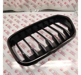 GRIGLIA RADIATORE DESTRA...