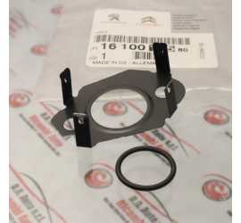 GUARNIZIONE VALVOLA EGR...