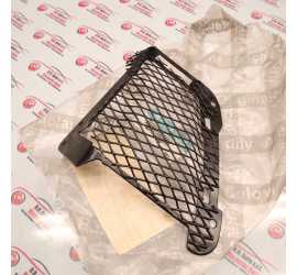 GRIGLIA SINISTRA PARAURTI...