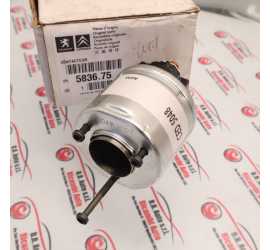 SOLENOIDE MOTORINO...