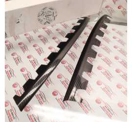 COPPIA MODANATURE CARBON...