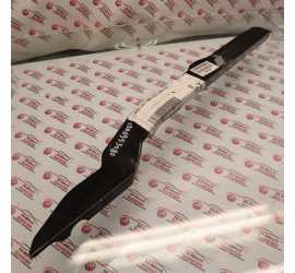 LONGHERINA POSTERIORE...