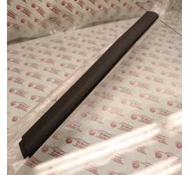 MODANATURA PORTA ANTERIORE...