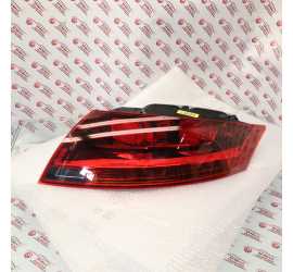 FANALE POSTERIORE DX PER...