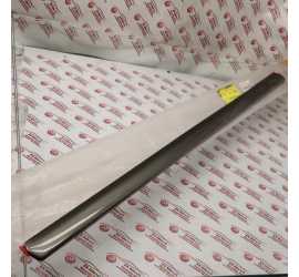 MODANATURA PORTA ANTERIORE...