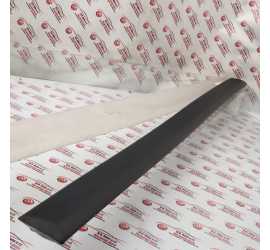 MODANATURA PORTA ANTERIORE...