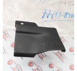 MODANATURA PORTA ANT....