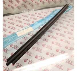 RASCHIAVETRO POSTERIORE...