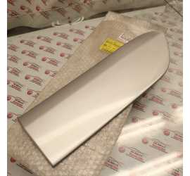 MODANATURA PORTA POST. SX...