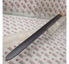 MODANATURA PORTA ANT. DX...