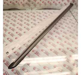 MODANATURA PORTA ANT. SX...