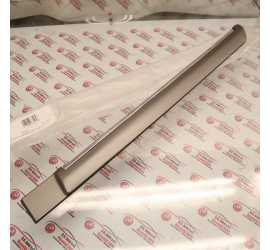 MODANATURA PORTA POST. SX...