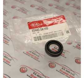 PARAOLIO COPERCHIO TESTA...