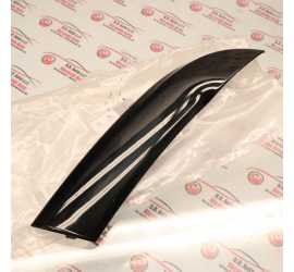 MOSTRINA INTERNA PORTA...