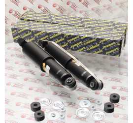 COPPIA AMMORTIZZATORI...