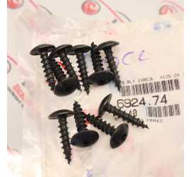 KIT 10 VITI CITROEN XSARA...