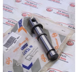 ALBERINO RUOTISMI CAMBIO...