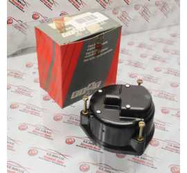 CALOTTA SPINTEROGENO SX...