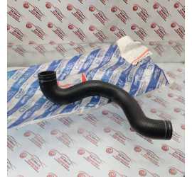 MANICOTTO RADIATORE LANCIA...