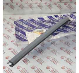 MOSTRINA PROIETTORE SX...