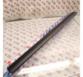 MODANATURA PORTA ANT. SX...