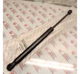 PUNTELLO PISTONCINO BAULE...