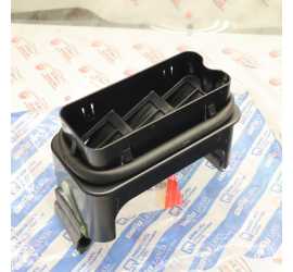 MOSTRINA PREA ARIA BAULE...