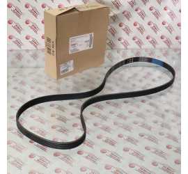 CINGHIA SERVIZI VW...