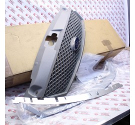 GRIGLIA PARAURTI FORD...