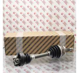 SEMIALBERO SEMIASSE...