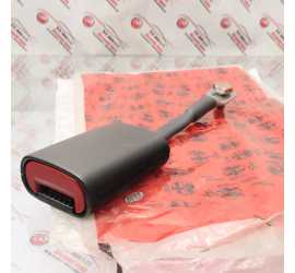 RAMO CINTURA ANTERIORE DX...