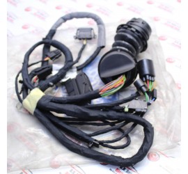 CABLAGGIO PORTA ANTERIORE...