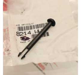 PERNO VANO PORTAOGGETTI...